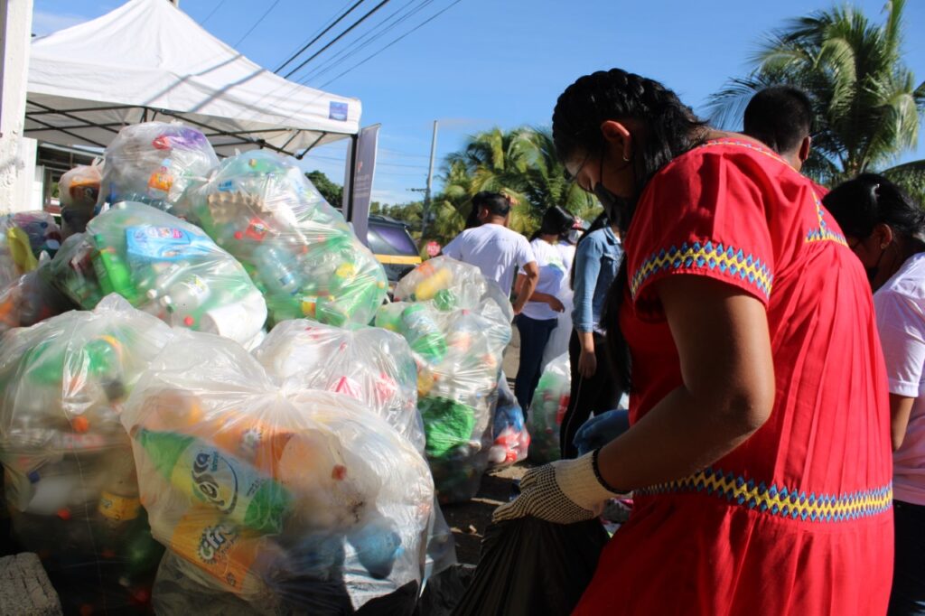 Dos millones de botellas plásticas recogidas en Pedregal