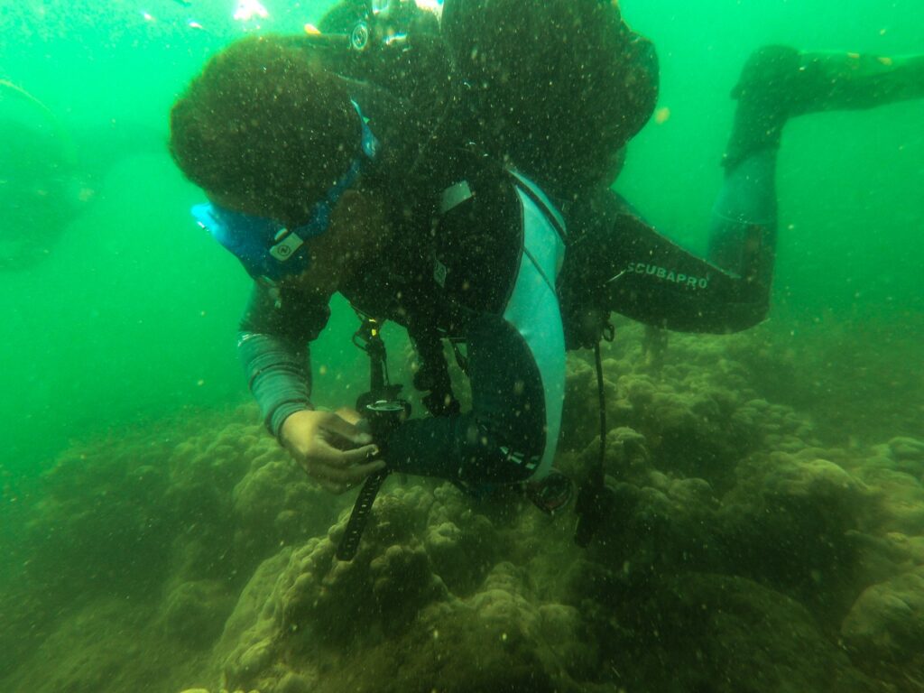 Seleccionan sitios para el monitoreo de arrecifes de coral