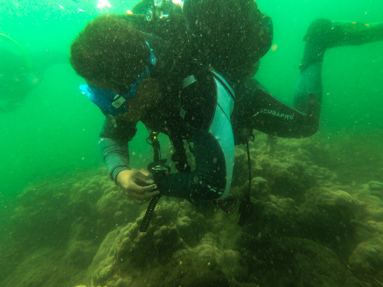  Seleccionan sitios para el monitoreo de arrecifes de coral