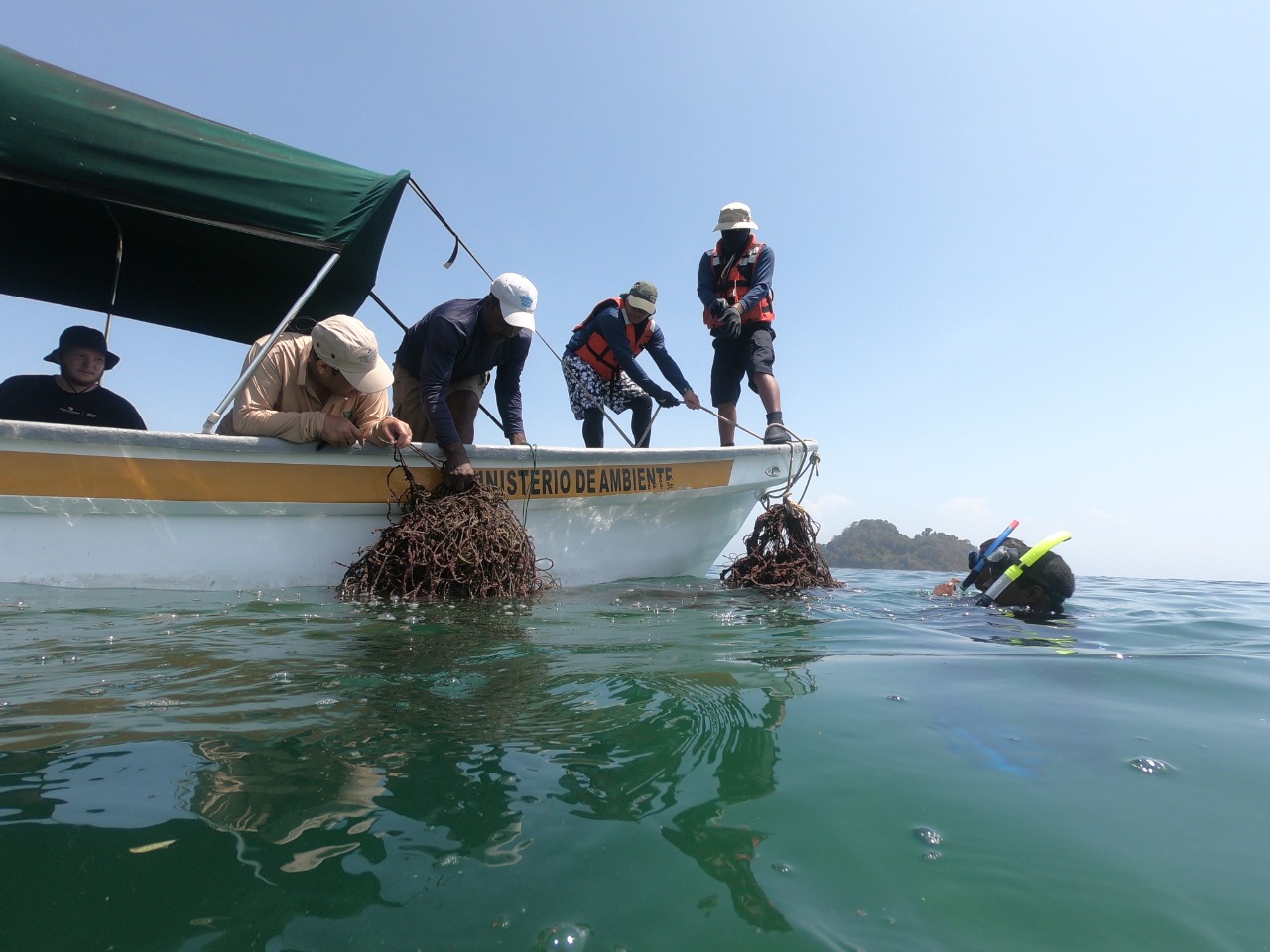 Seleccionan sitios para el monitoreo de arrecifes de coral