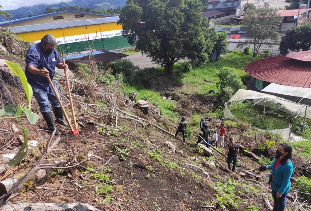 Estudiantes plantan árboles en área afectadas en Cerro Brujo