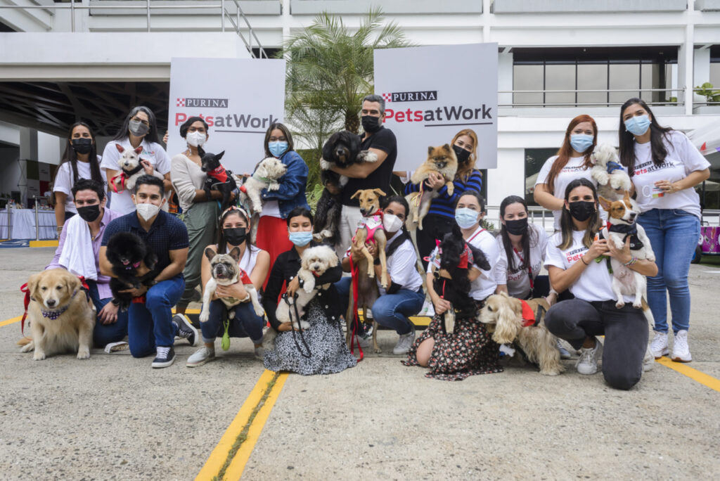 Los colaboradores de Nestlé Panamá llevan sus mascotas a la oficina