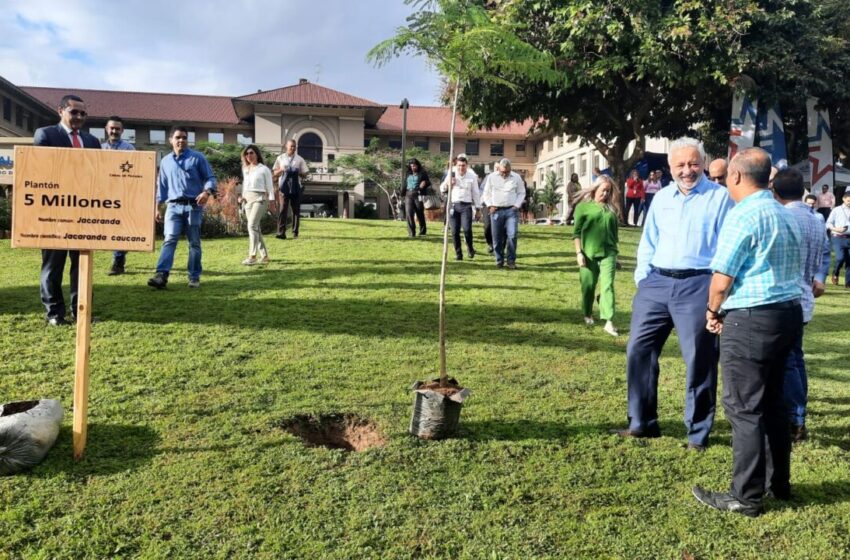  El Canal celebra 21 años de reforestación