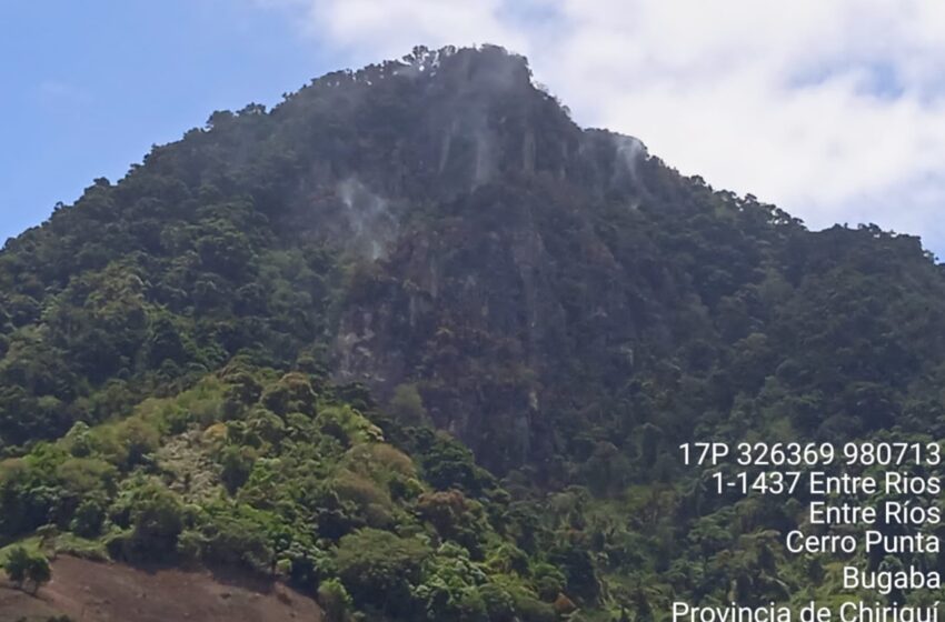  Incendio de Masa Vegetal en el Cerro Punta está confinado