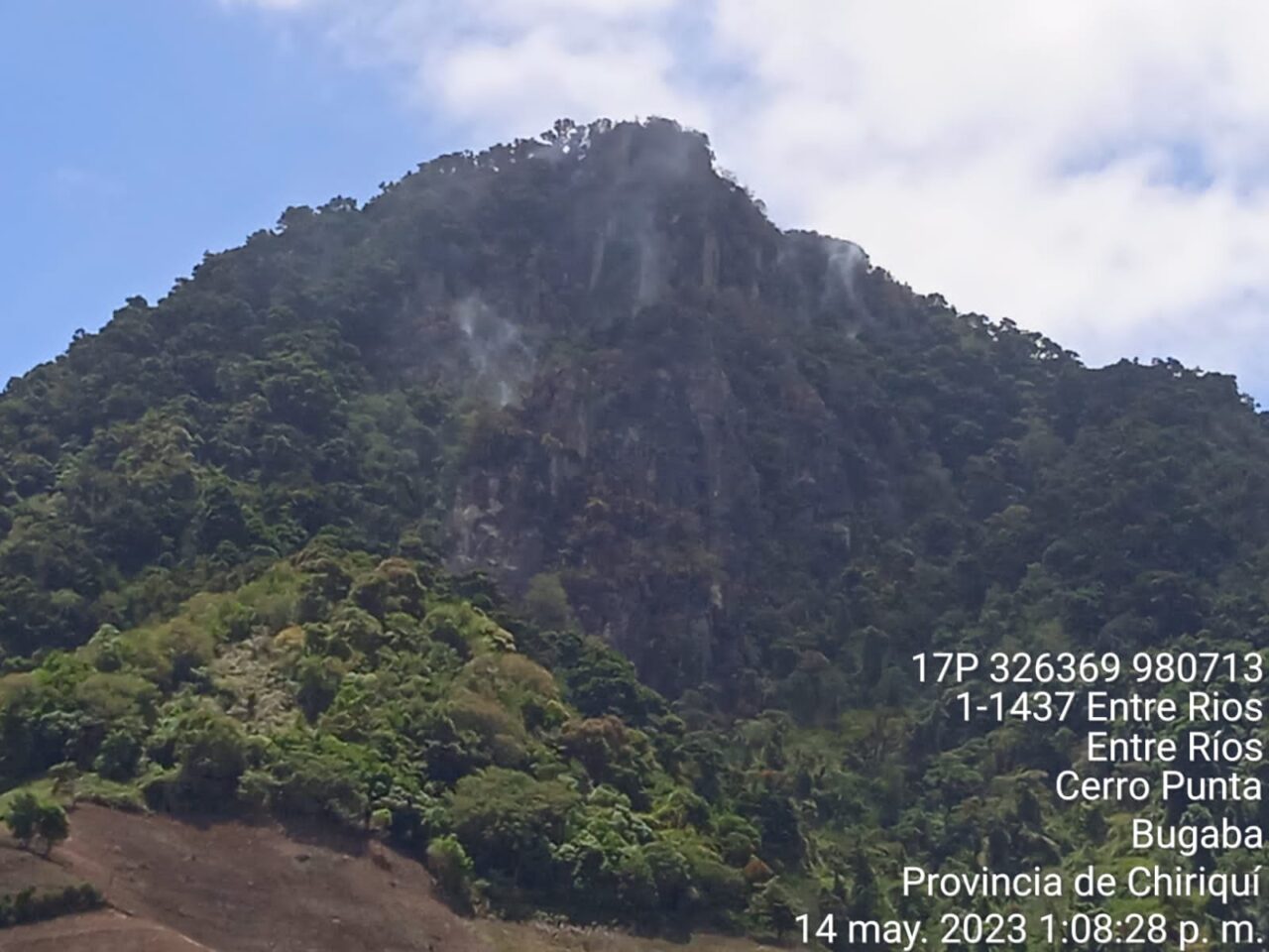 Incendio de Masa Vegetal en el Cerro Punta está confinado