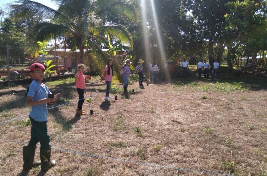  En Las Lajas conmemoran el Día del Árbol