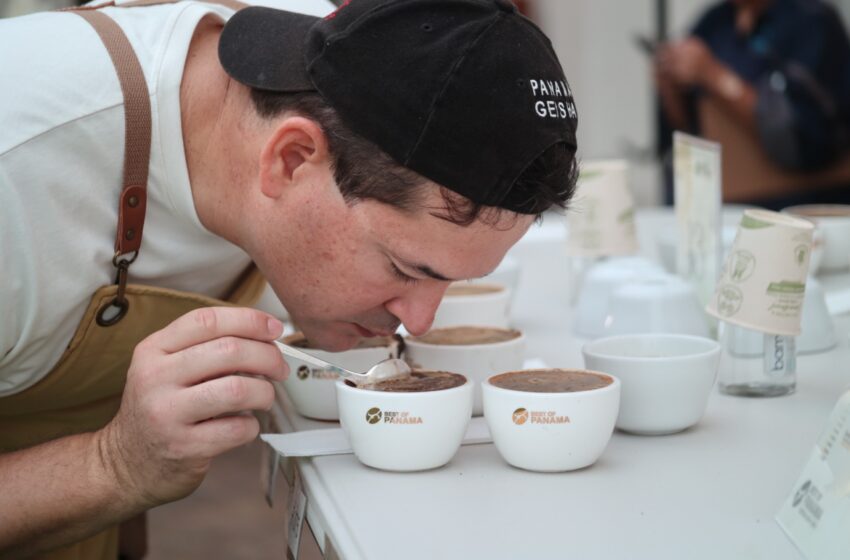  Culmina Cata Nacional de Café de especialidad de Panamá