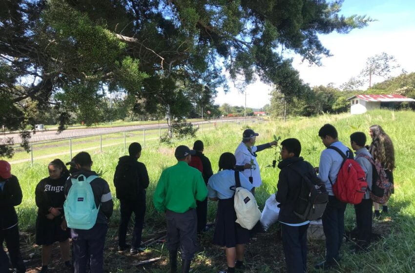  Jornada de Reforestación en el Colegio Benigno Tomás Argote