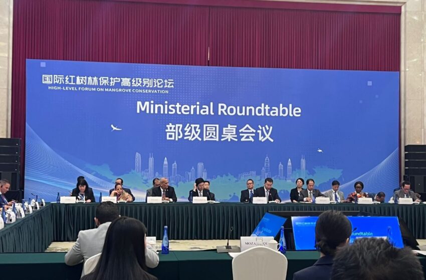  Panamá participa en Foro de manglares en Shenzhen, China