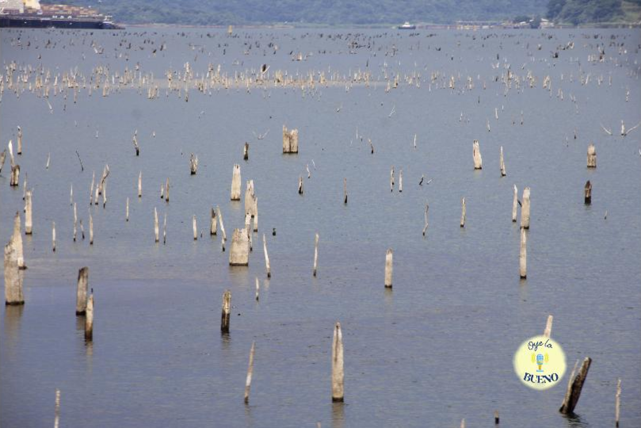 Canal de Panamá ajusta cargo por agua dulce