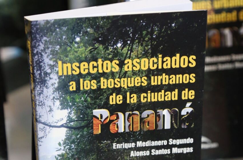  Publican el primer ‘inventario’ de insectos de los bosques urbanos de la ciudad