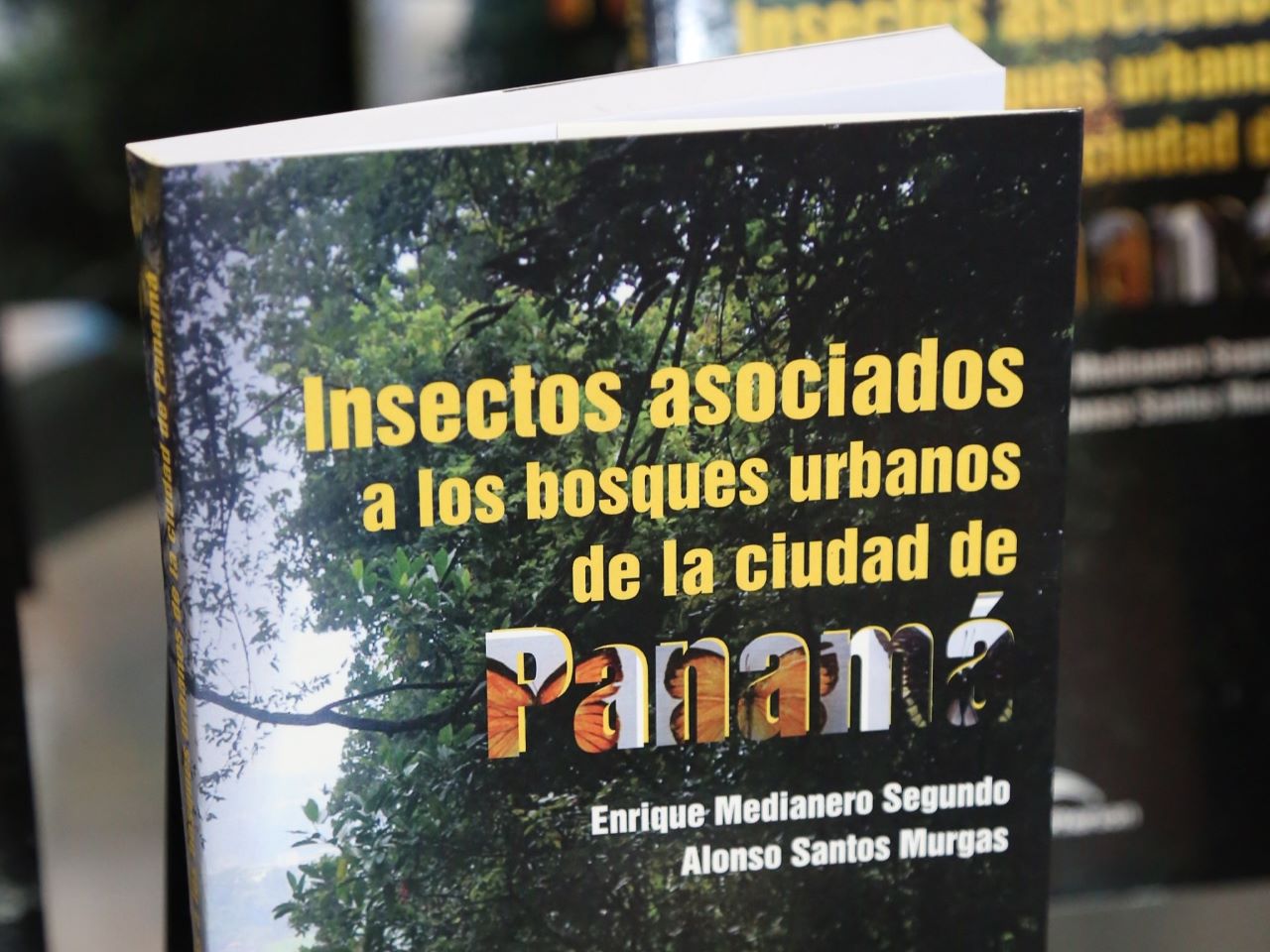 Publican el primer ‘inventario’ de insectos de los bosques urbanos de la ciudad