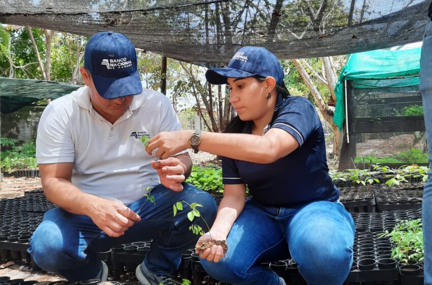  Banconal en la posición N° 1 de Mejores Empleadores en Panamá