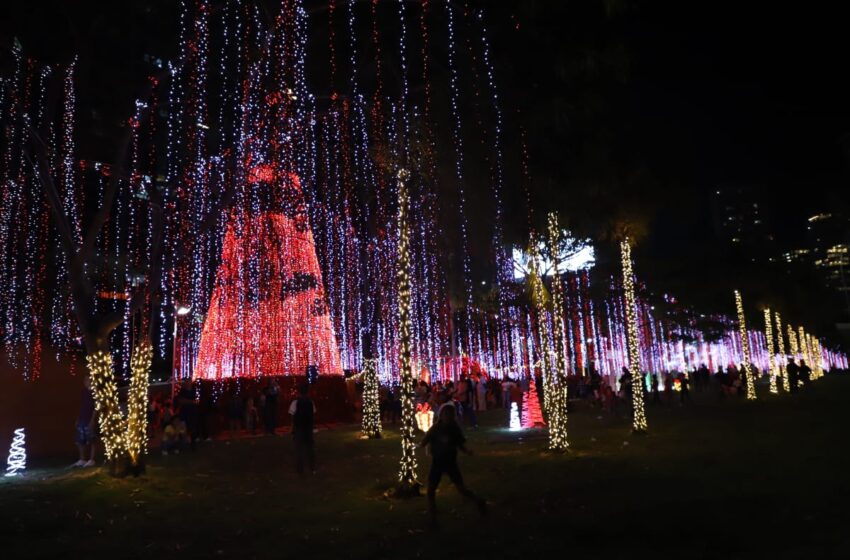  Se encienden las luces navideñas y renace la ilusión