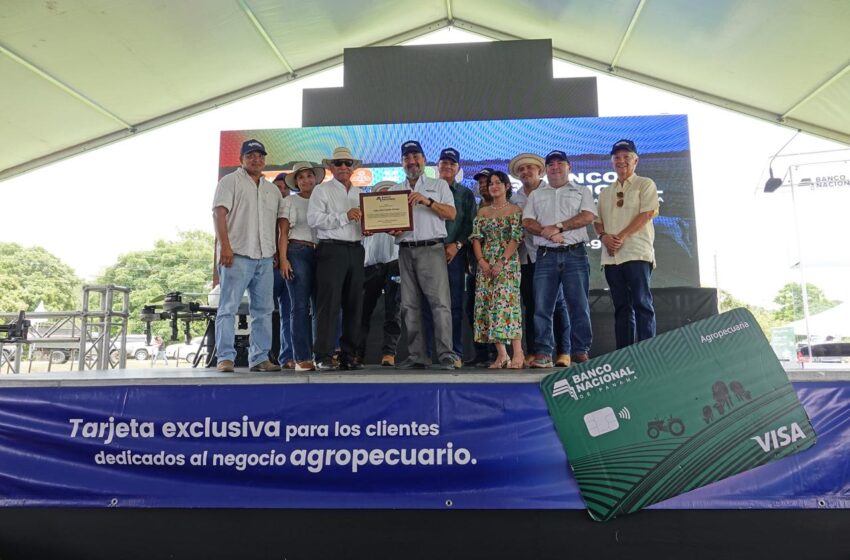  Cartera agropecuaria de Veraguas reporta B/.67.4 millones durante primer trimestre