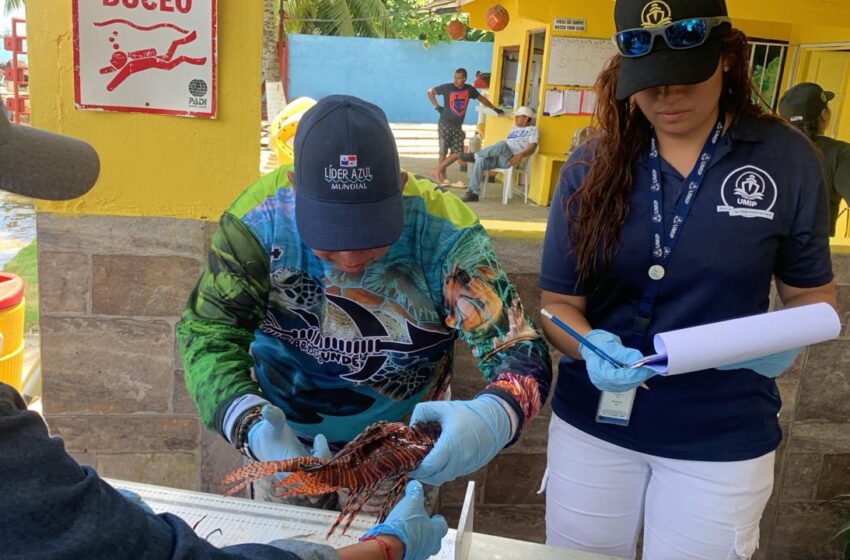  Realizan torneo de pesca para reducir población del pez León en aguas panameñas