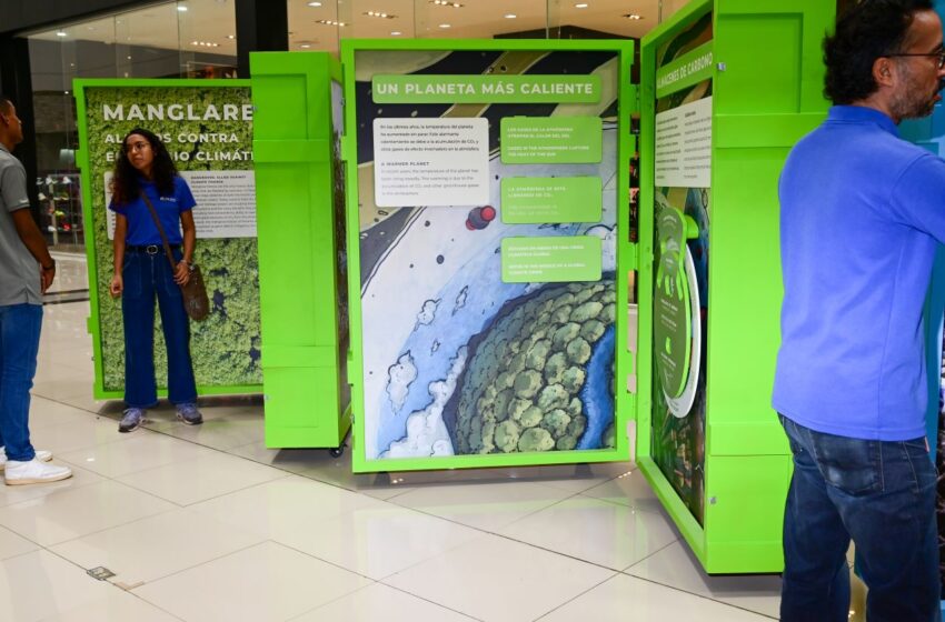  Nueva Exhibición Itinerante: “Manglares: Aliados Contra el Cambio Climático”