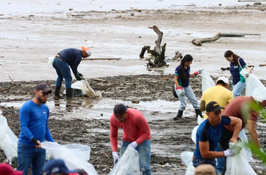  Miles de voluntarios recolectan toneladas de basura en la gran limpieza de playas