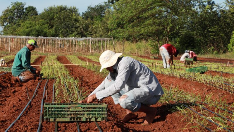 El BDA lidera con éxito el Día de Campo en Los Santos, centrado en el cultivo de cebolla