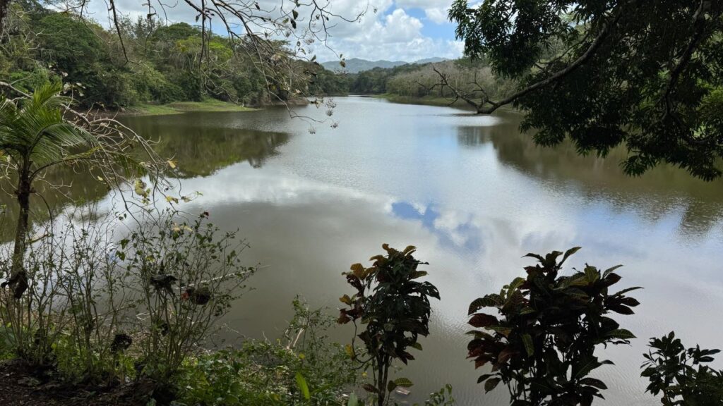lago