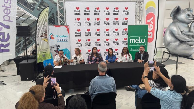 Mas de 500 animales sin hogar se esterilizarán con lo que se recaude en la Donatón 2025