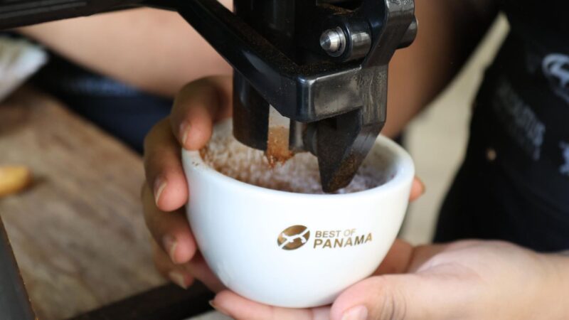 Café Geisha panameño bate récords y se posiciona como el mejor del mundo