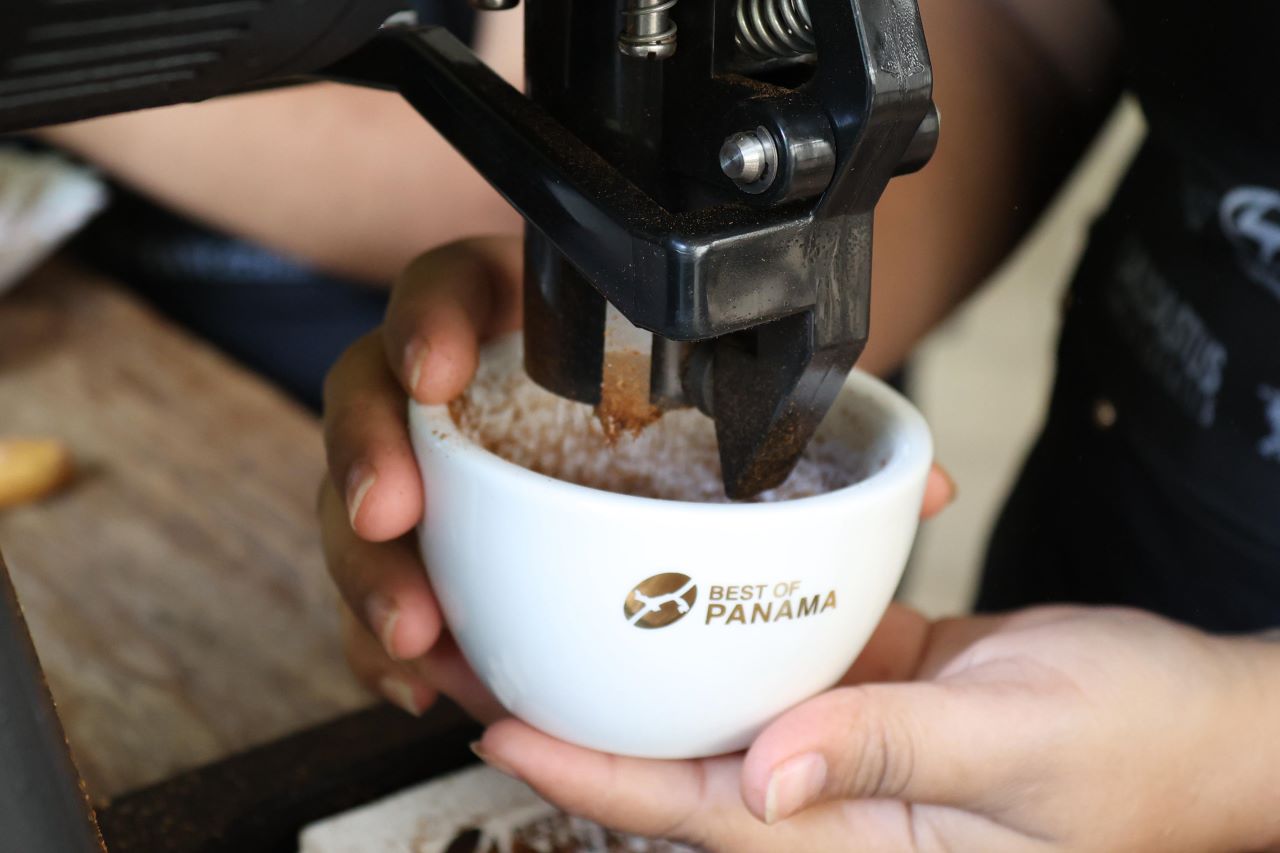 Café Geisha panameño bate récords y se posiciona como el mejor del mundo