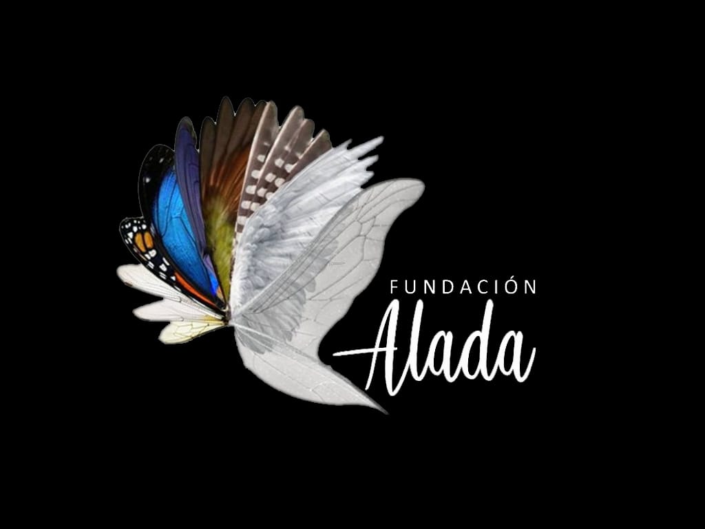 fundación alada