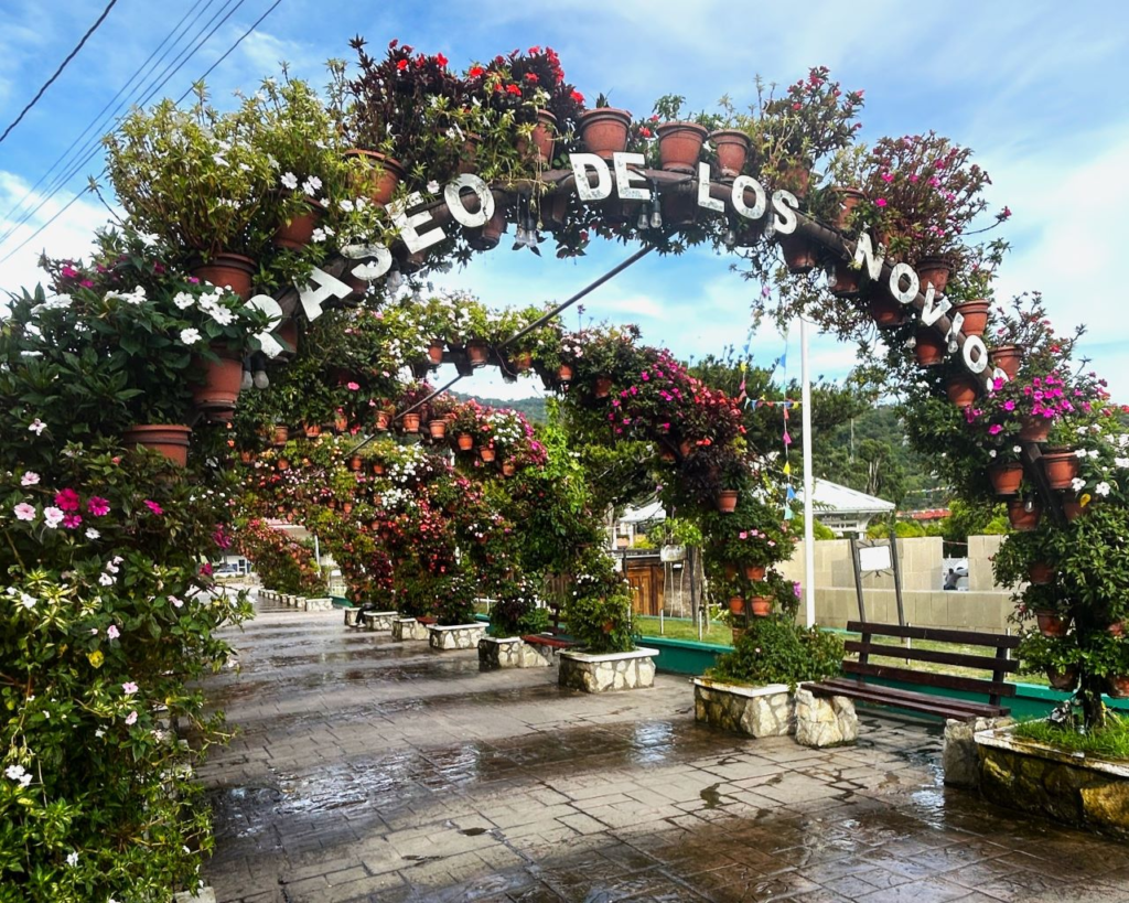 Boquete flores