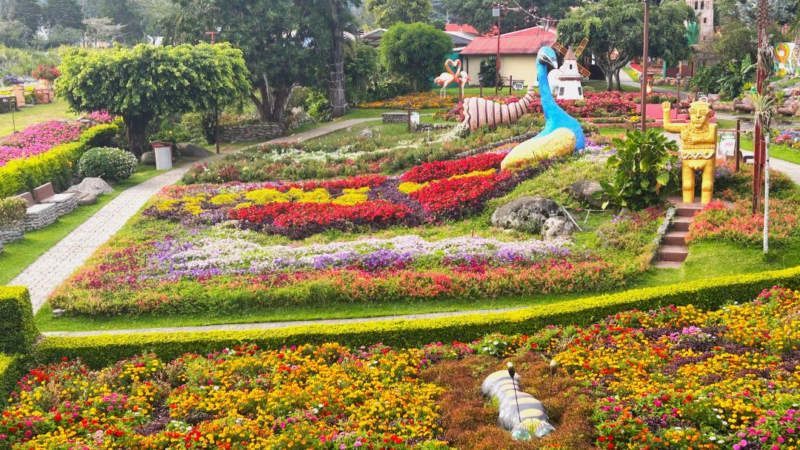 Boquete, el destino perfecto para una escapada cerca de David, Chiriquí