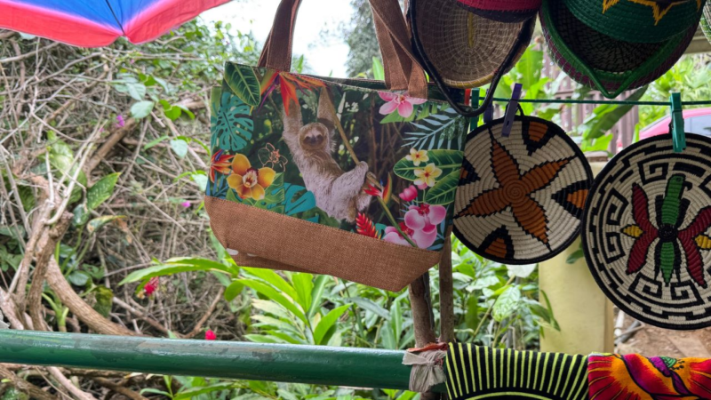 Artesana emberá en Panamá preserva la tradición ancestral de la chunga