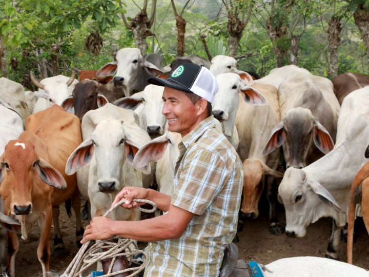 BDA otorga B/.324,000 en créditos a pequeños productores de Darién