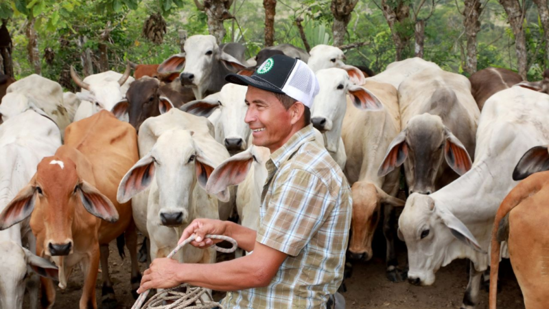 BDA otorga B/.324,000 en créditos a pequeños productores de Darién