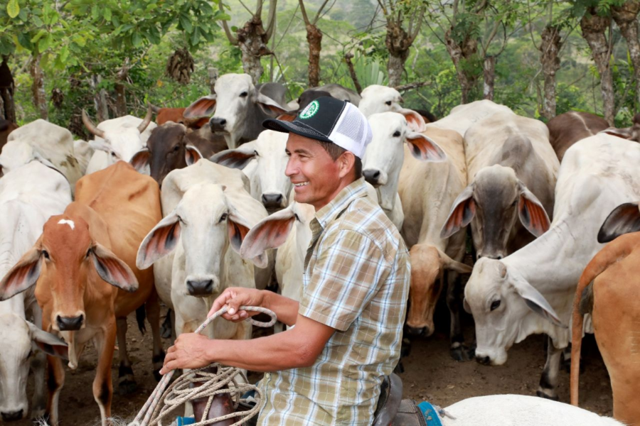 BDA otorga B/.324,000 en créditos a pequeños productores de Darién