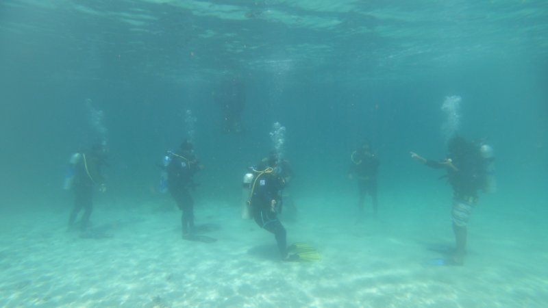 Guardaparques de Coiba se certifican como buzos para proteger ecosistemas marinos