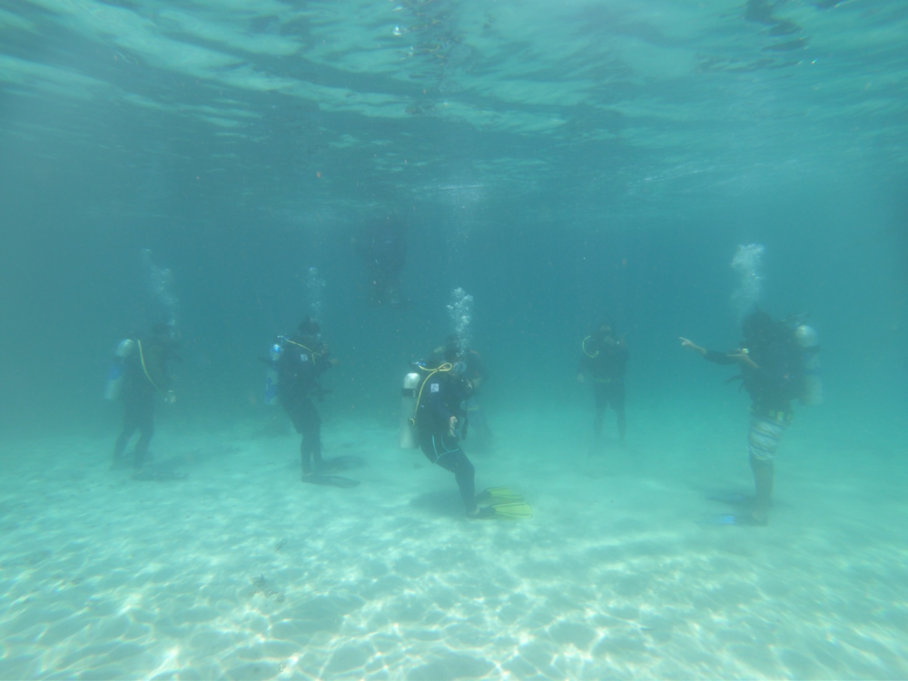 Guardaparques de Coiba se certifican como buzos para proteger ecosistemas marinos