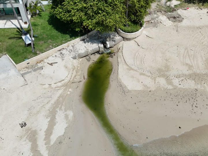MiAMBIENTE detecta violaciones ambientales en Isla Contadora