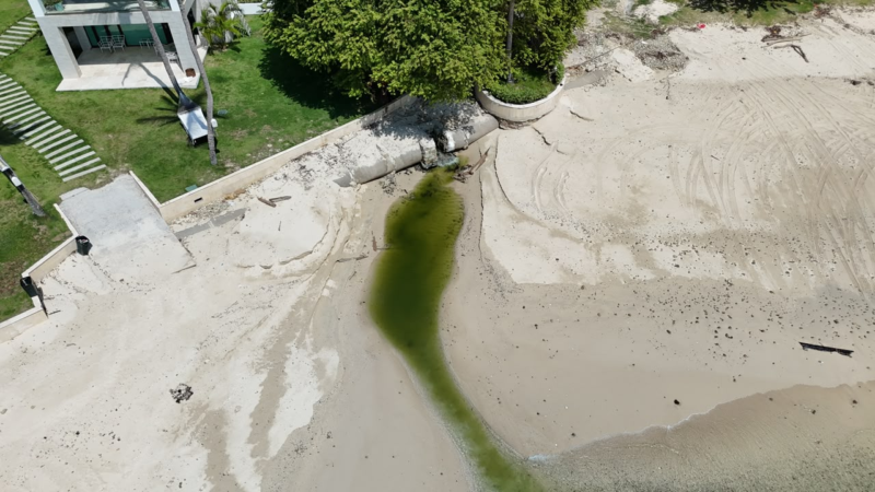 MiAMBIENTE detecta violaciones ambientales en Isla Contadora