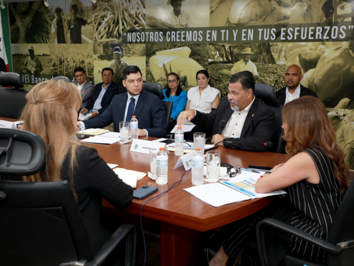 BDA aprueba hasta B/.20 millones en créditos para pequeños productores