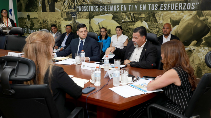BDA aprueba hasta B/.20 millones en créditos para pequeños productores